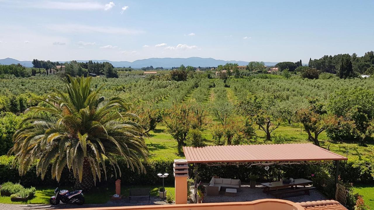 Villa Mandrioli Cecina (Livorno) Exterior foto